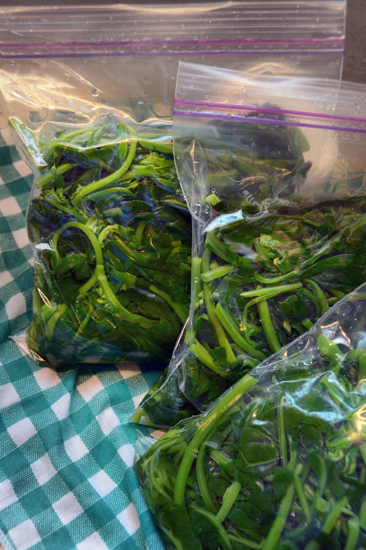freezing-collard-greens