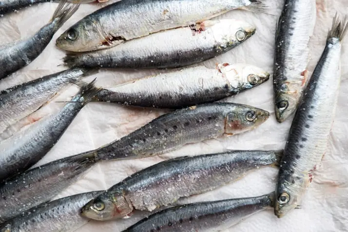 how-to-clean-sardines