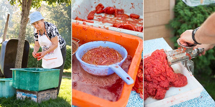 making tomato sauce