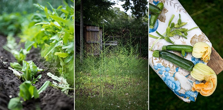 nonnos garden update