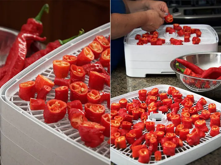 preparing-dehydrator-with-hot-peppers