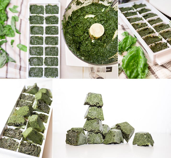 preserving-basil