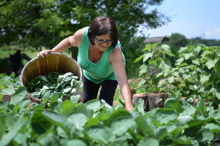 preserving fresh vegetables