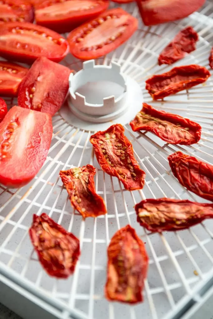 using-a-dehydrator-for-tomatoes