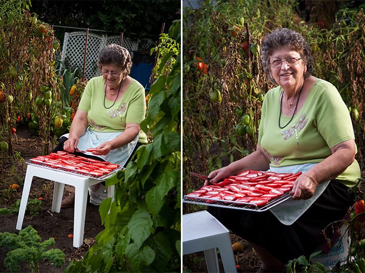 drying-tomatoes-at-home